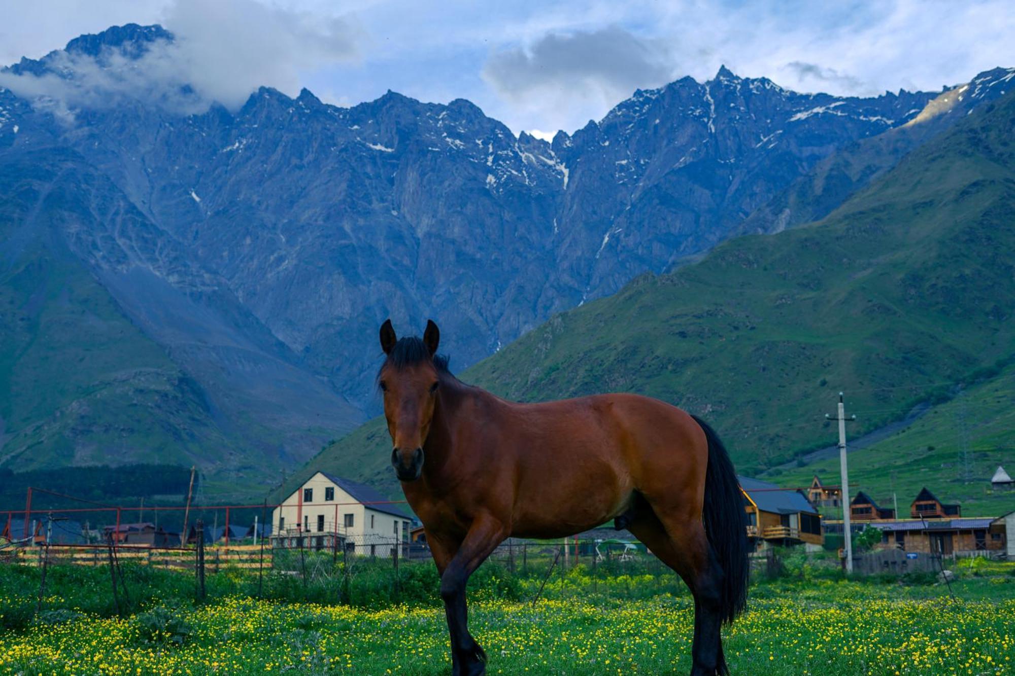 Savalley Kazbegi Екстериор снимка